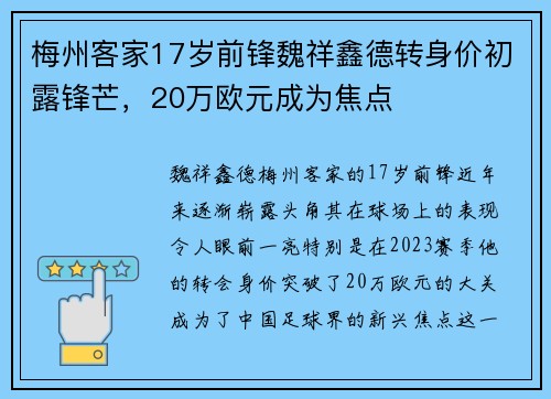 梅州客家17岁前锋魏祥鑫德转身价初露锋芒，20万欧元成为焦点